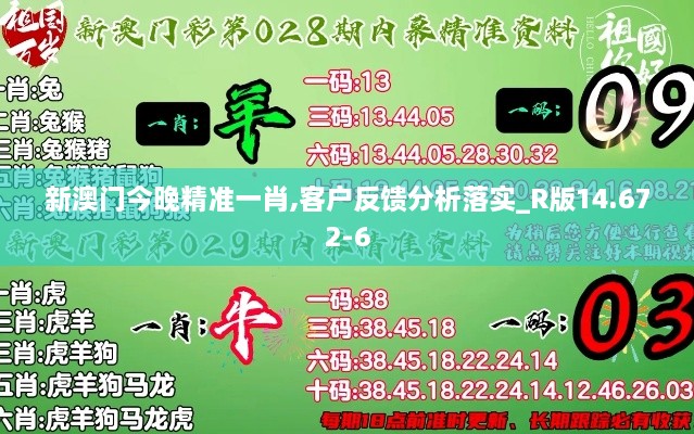 新澳門今晚精準(zhǔn)一肖,客戶反饋分析落實(shí)_R版14.672-6