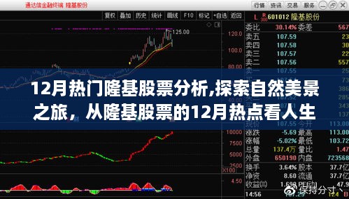 從隆基股票12月熱點洞察，股市風云與人生寧靜港灣的探索之旅