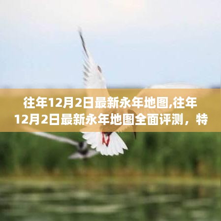 往年12月2日最新永年地圖詳解，特性、體驗、對比及用戶群體分析評測報告