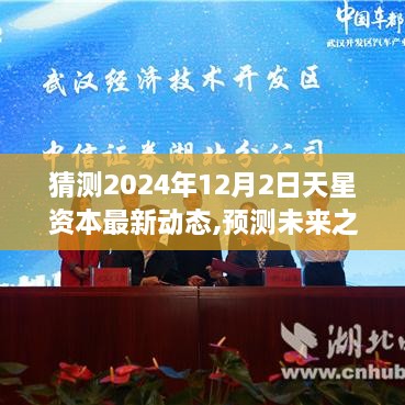天星資本未來動態(tài)預(yù)測，深度解析與猜測（2024年12月最新更新）