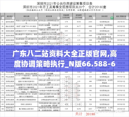 廣東八二站資料大全正版官網(wǎng),高度協(xié)調(diào)策略執(zhí)行_N版66.588-6