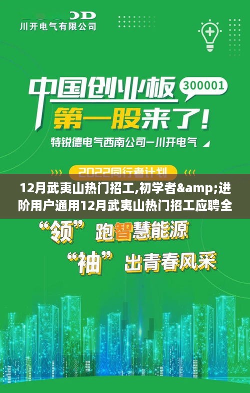 12月武夷山熱門招工應(yīng)聘全攻略，初學(xué)者與進(jìn)階用戶通用指南