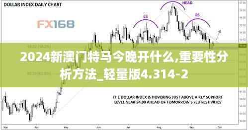 2024新澳門特馬今晚開什么,重要性分析方法_輕量版4.314-2