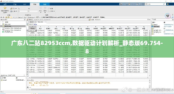 廣東八二站82953ccm,數(shù)據(jù)驅動計劃解析_靜態(tài)版69.754-8