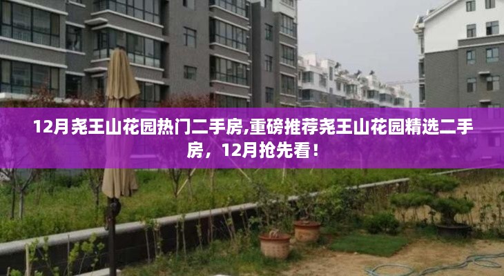 12月堯王山花園精選二手房搶先看，熱門房源重磅推薦