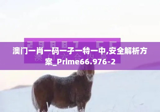澳門一肖一碼一孑一特一中,安全解析方案_Prime66.976-2