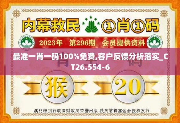 最準一肖一碼100%免費,客戶反饋分析落實_CT26.554-6