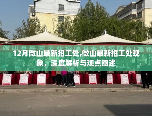 微山最新招工處深度解析，現(xiàn)象、觀點(diǎn)與闡述