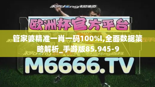 管家婆精準(zhǔn)一肖一碼100%l,全面數(shù)據(jù)策略解析_手游版85.945-9
