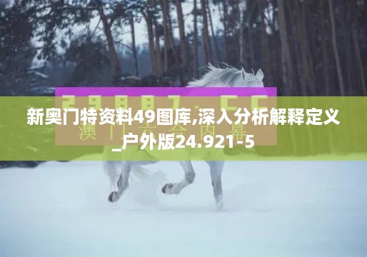 新奧門特資料49圖庫,深入分析解釋定義_戶外版24.921-5
