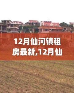 12月仙河鎮(zhèn)租房市場(chǎng)深度解析，最新趨勢(shì)、市場(chǎng)走向與個(gè)人決策指南