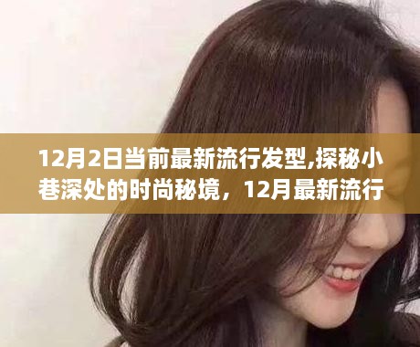 獨家解讀，探秘小巷深處的時尚秘境，揭秘12月最新流行發(fā)型趨勢