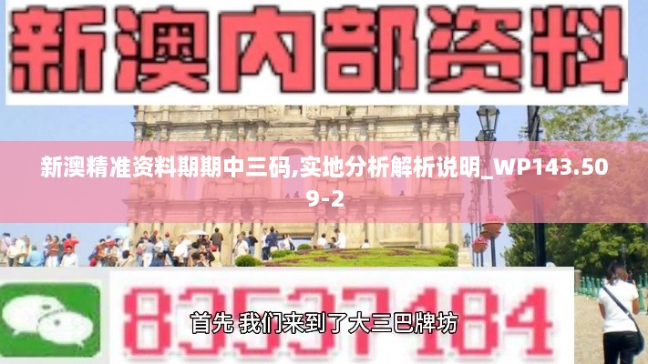 新澳精準(zhǔn)資料期期中三碼,實(shí)地分析解析說明_WP143.509-2
