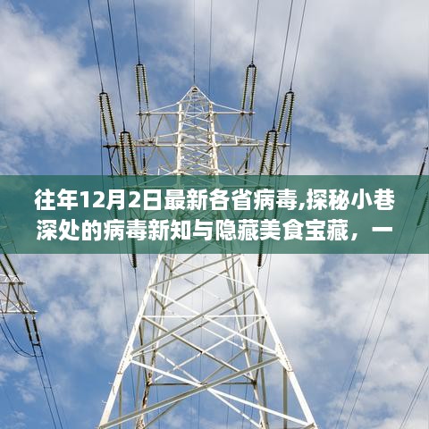探秘病毒新知與美食寶藏，各省小巷特色小店的奇妙之旅（12月2日更新）