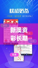 新澳資彩長期免費資金來源,經典解讀說明_6DM82.326-8