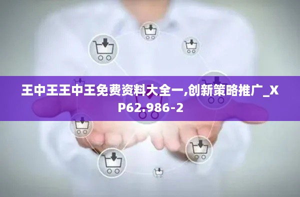 王中王王中王免費(fèi)資料大全一,創(chuàng)新策略推廣_XP62.986-2