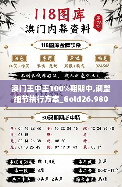 澳門(mén)王中王100%期期中,調(diào)整細(xì)節(jié)執(zhí)行方案_Gold26.980-5