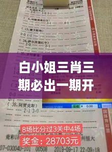 白小姐三肖三期必出一期開獎2023,權威說明解析_尊享版63.625-5