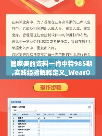 管家婆的資料一肖中特985期,實(shí)踐經(jīng)驗(yàn)解釋定義_WearOS1.216-1
