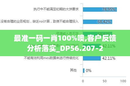最準一碼一肖100%噢,客戶反饋分析落實_DP56.207-2
