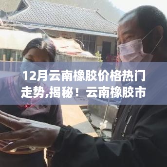 揭秘！云南橡膠市場風(fēng)云變幻，深度解析十二月價(jià)格走勢預(yù)測