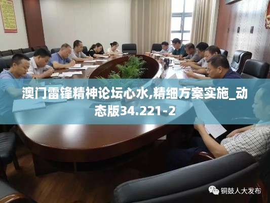 澳門(mén)雷鋒精神論壇心水,精細(xì)方案實(shí)施_動(dòng)態(tài)版34.221-2