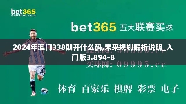 2024年澳門338期開什么碼,未來規(guī)劃解析說明_入門版3.894-8