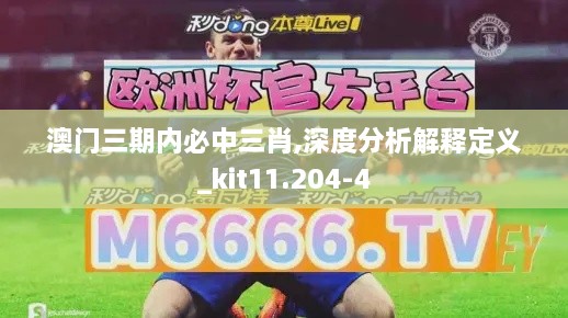 澳門三期內(nèi)必中三肖,深度分析解釋定義_kit11.204-4