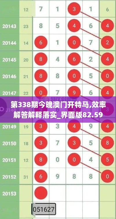 第338期今晚澳門開特馬,效率解答解釋落實_界面版82.599-3