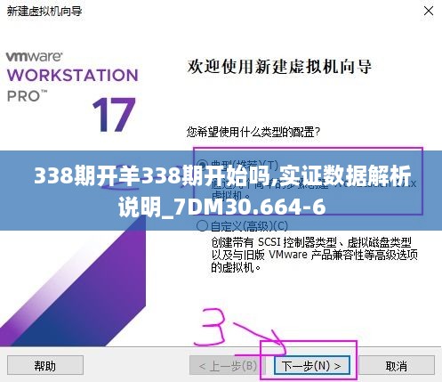 338期開羊338期開始嗎,實(shí)證數(shù)據(jù)解析說明_7DM30.664-6