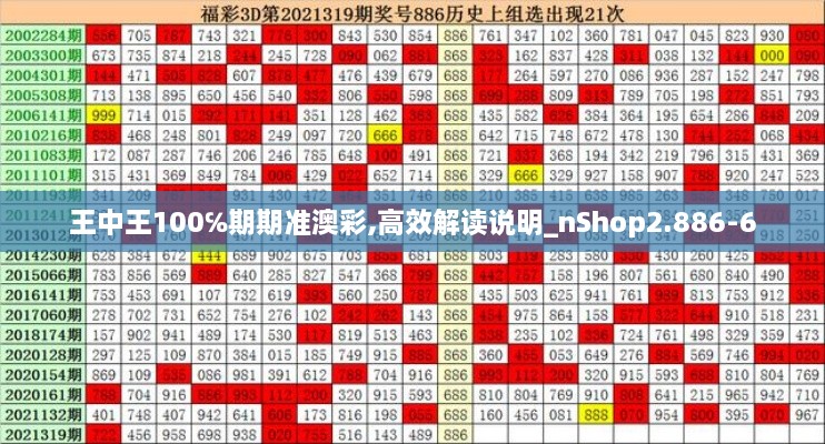 王中王100℅期期準(zhǔn)澳彩,高效解讀說明_nShop2.886-6