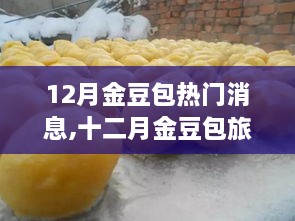 十二月金豆包旅行熱潮，探索自然美景，尋找內(nèi)心寧靜與平和