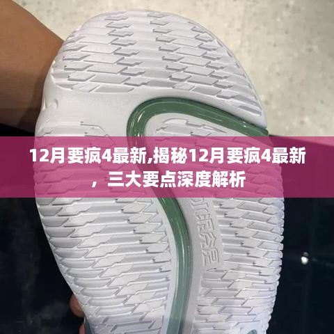揭秘，12月要瘋4最新深度解析三大要點全攻略
