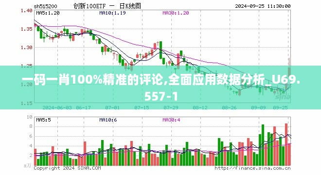 一碼一肖100%精準(zhǔn)的評(píng)論,全面應(yīng)用數(shù)據(jù)分析_U69.557-1