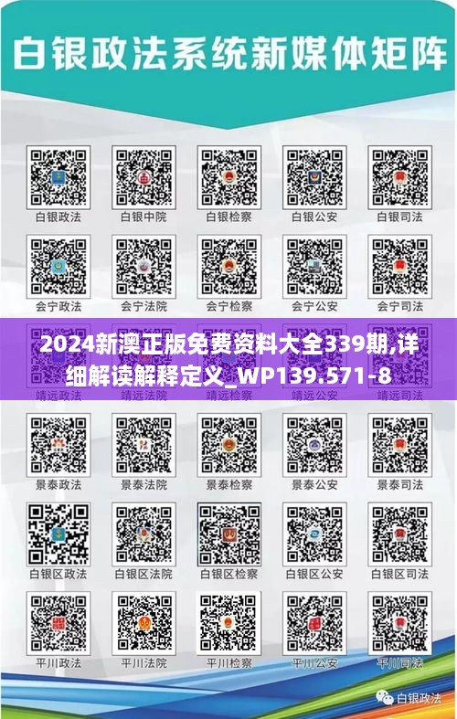 2024新澳正版免費資料大全339期,詳細解讀解釋定義_WP139.571-8
