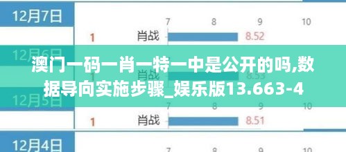 澳門一碼一肖一特一中是公開的嗎,數(shù)據(jù)導(dǎo)向?qū)嵤┎襟E_娛樂版13.663-4