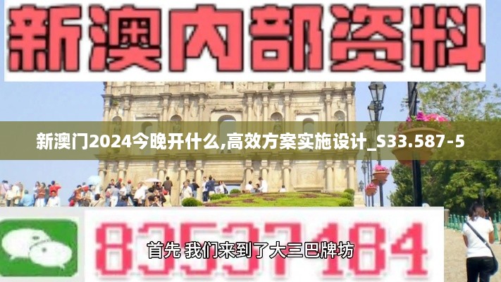 新澳門2024今晚開什么,高效方案實施設(shè)計_S33.587-5