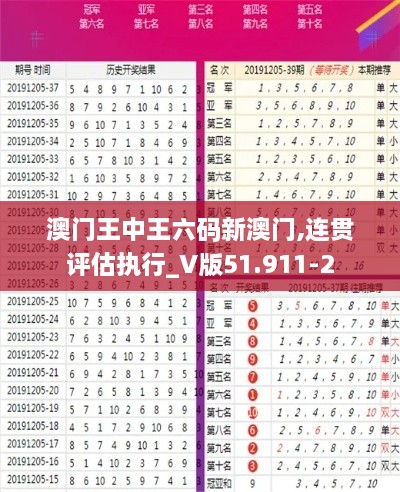 澳門(mén)王中王六碼新澳門(mén),連貫評(píng)估執(zhí)行_V版51.911-2