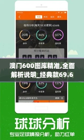 澳門(mén)600圖庫(kù)精準(zhǔn),全面解析說(shuō)明_經(jīng)典款69.663-9
