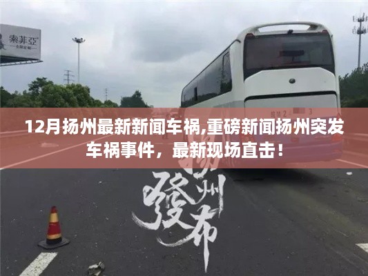 揚(yáng)州突發(fā)車(chē)禍?zhǔn)录?，最新現(xiàn)場(chǎng)報(bào)道與事故分析