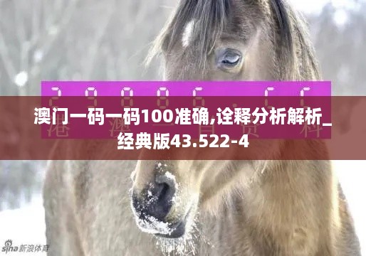 澳門一碼一碼100準(zhǔn)確,詮釋分析解析_經(jīng)典版43.522-4