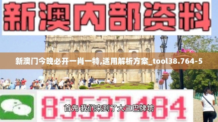 新澳門今晚必開一肖一特,適用解析方案_tool38.764-5