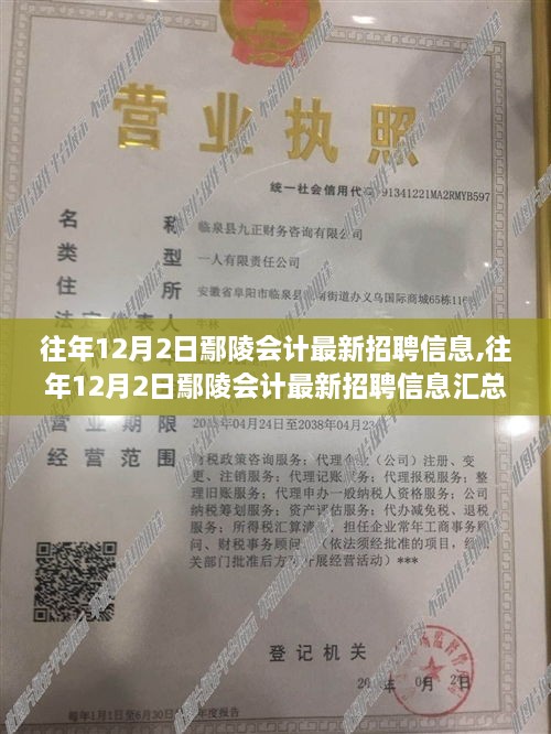 往年12月2日鄢陵會計(jì)招聘信息匯總與解讀，最新崗位信息及解讀