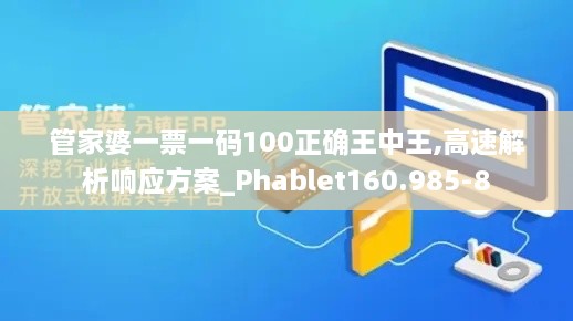 管家婆一票一碼100正確王中王,高速解析響應(yīng)方案_Phablet160.985-8