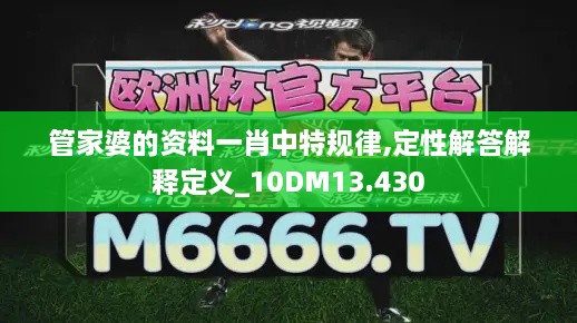 管家婆的資料一肖中特規(guī)律,定性解答解釋定義_10DM13.430