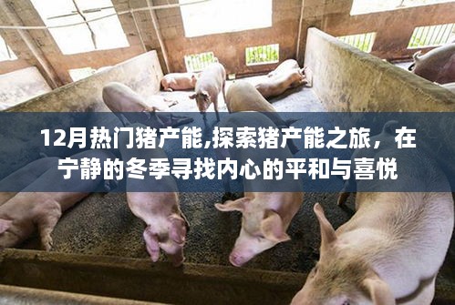 冬季豬產能探索之旅，尋找內心的平和與喜悅的旅程