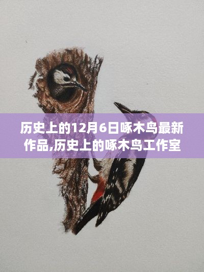 探尋啄木鳥工作室十二月六日最新作品背后的故事與歷史揭秘