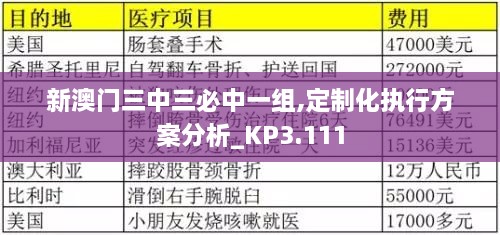 新澳門三中三必中一組,定制化執(zhí)行方案分析_KP3.111