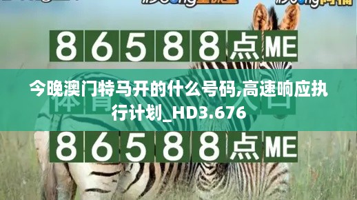 今晚澳門特馬開的什么號碼,高速響應(yīng)執(zhí)行計劃_HD3.676