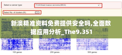 新澳精準資料免費提供安全嗎,全面數(shù)據(jù)應(yīng)用分析_The9.351
